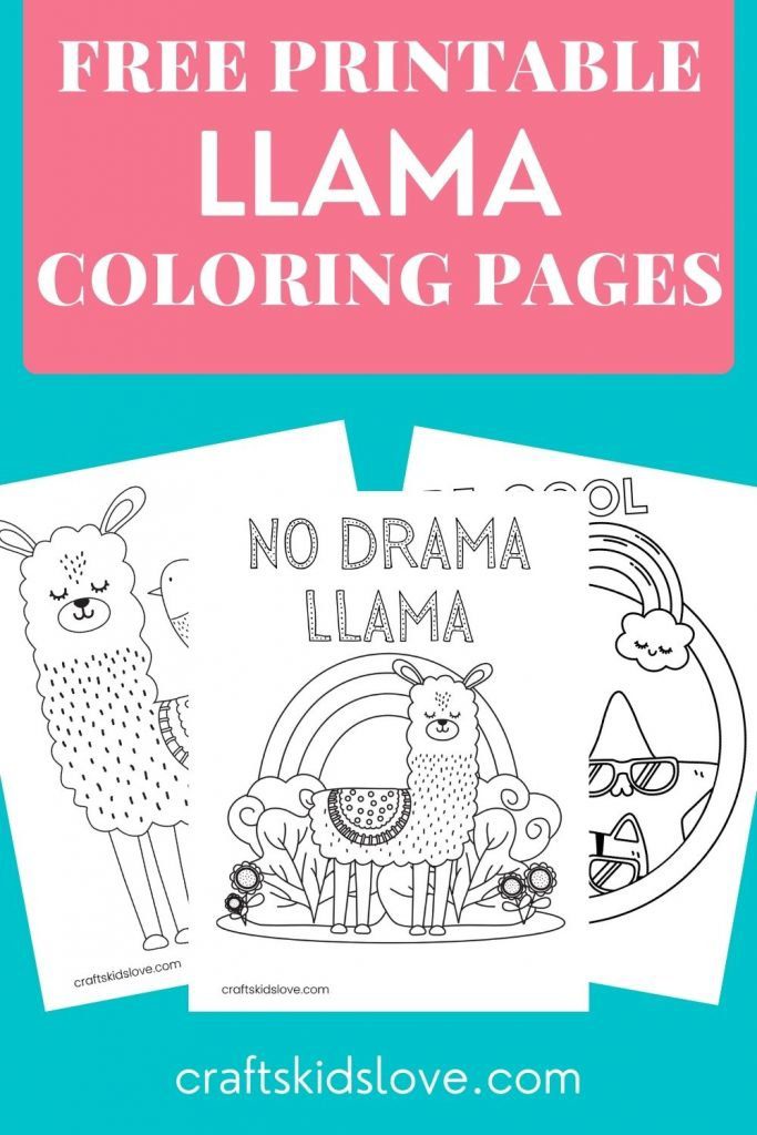 llama coloring pages images