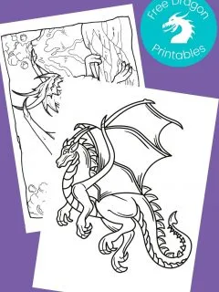 Black and white dragon pictures to color