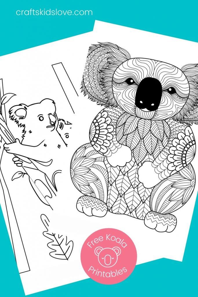 black and white koala mandala coloring sheets to print