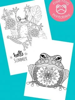 Frog coloring pages on aqua background