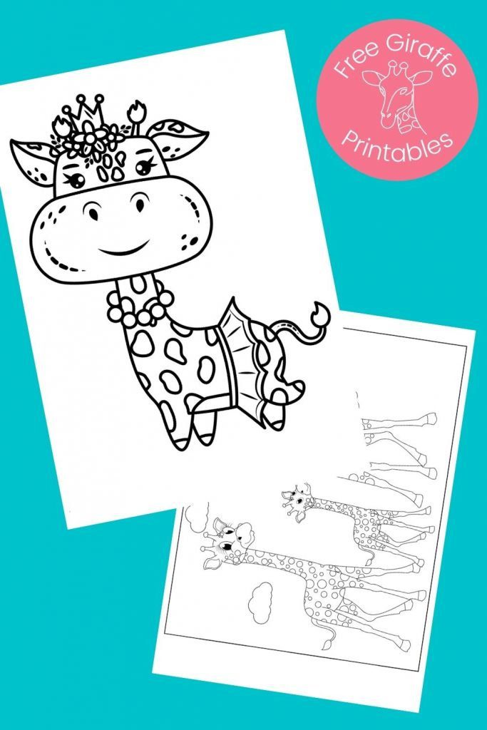 black and white giraffe pictures to color on aqua background