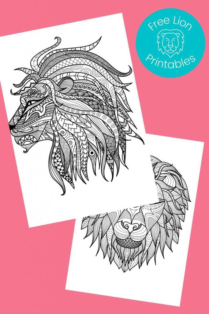 Free Printable Lion Coloring Pages Crafts Kids Love