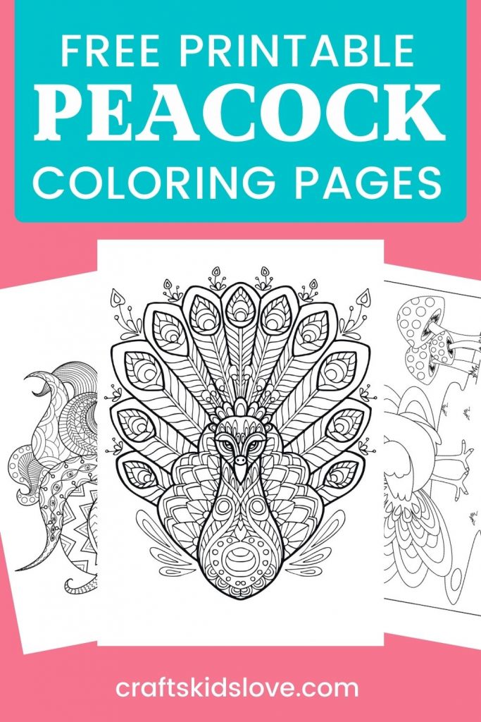 Peacock Coloring Book : Easy and Fun Peacock Coloring Pages for