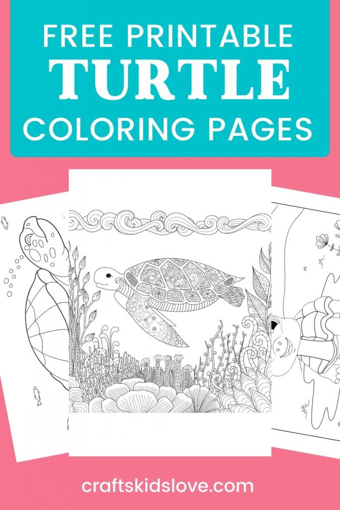 Black and white turtles coloring pages on pink background