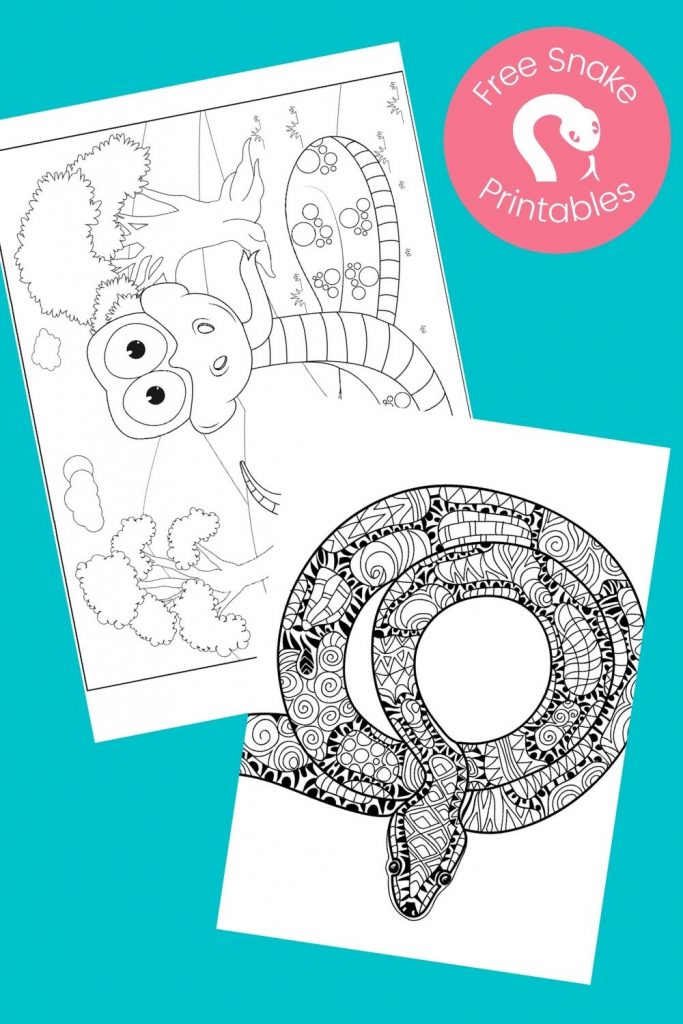 Snake coloring pages on aqua background
