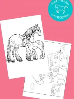 black and white pictures of horses to color