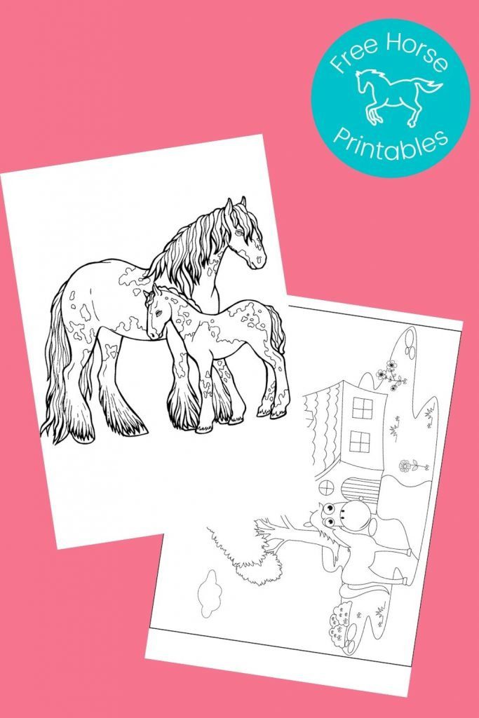 black and white pictures of horses to color