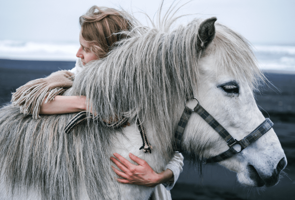 woman hugging white horse