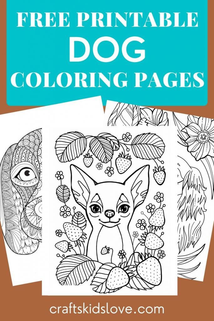 jingles the husky pup coloring pages