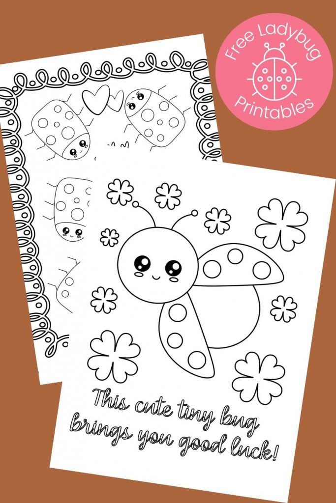 black and white ladybug coloring pages on brown background