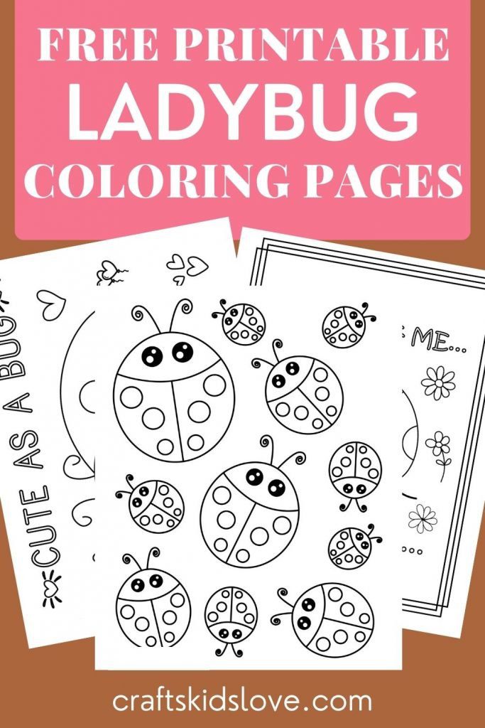 Free printable ladybug coloring pages