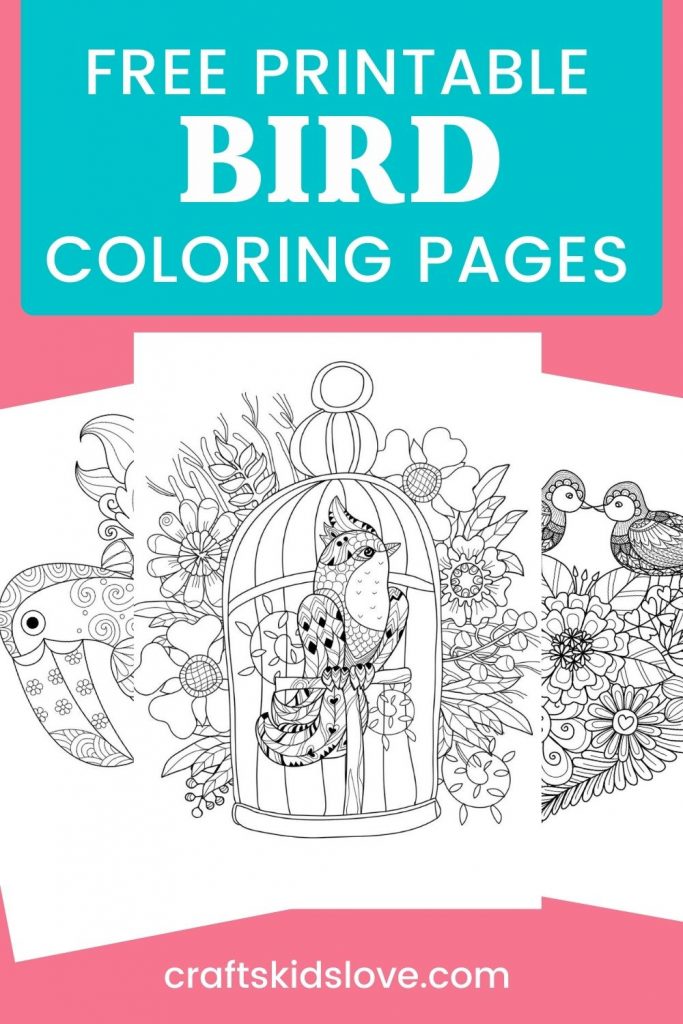 Black and white bird coloring pages on pink background