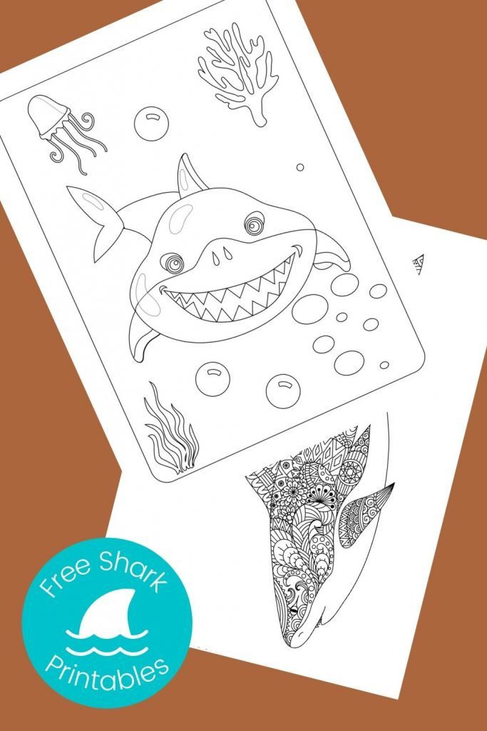 black and white pictures of sharks to color on brown background