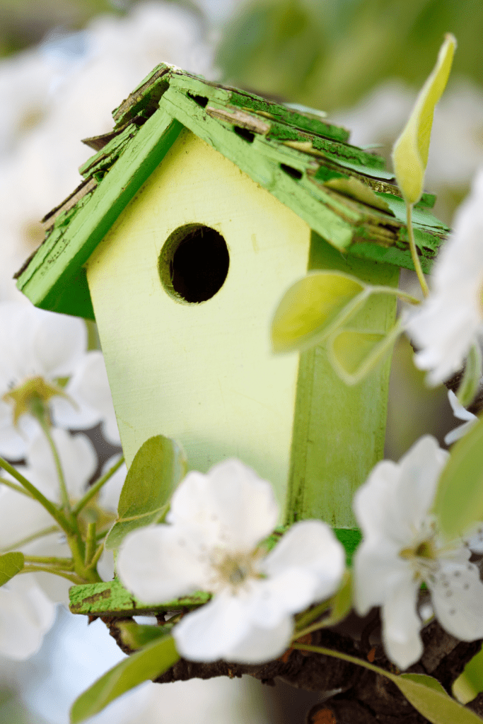 green birdhouse in tree with white blossoms - spring craft kits for kids